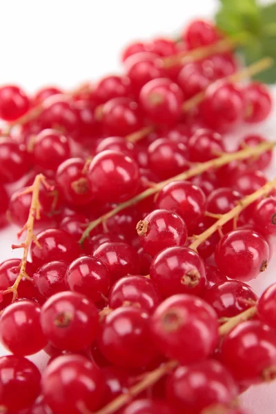 Fresh red currant — Stock Photo, Image