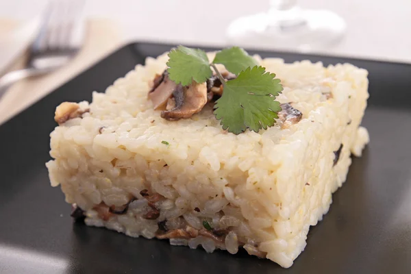 Svampar Risotto — Stockfoto