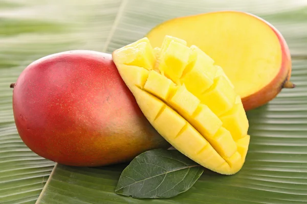 Taze mango — Stok fotoğraf