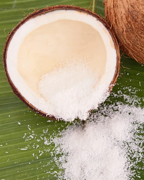 Coconut with glass of milk — Stock Photo, Image