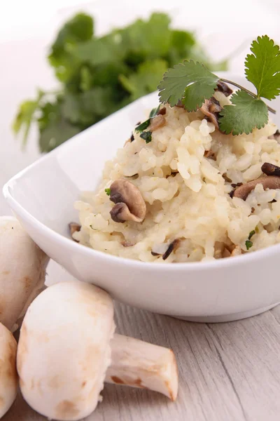 Pilzrisotto — Stockfoto