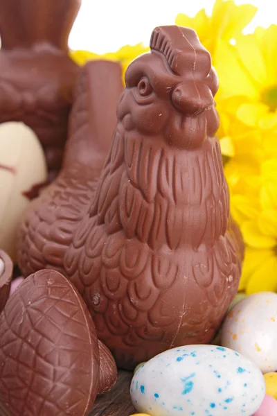 Paskalya çikolata çeşitleri — Stok fotoğraf