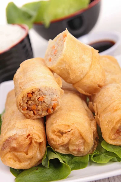 Spring roll — Stock Photo, Image