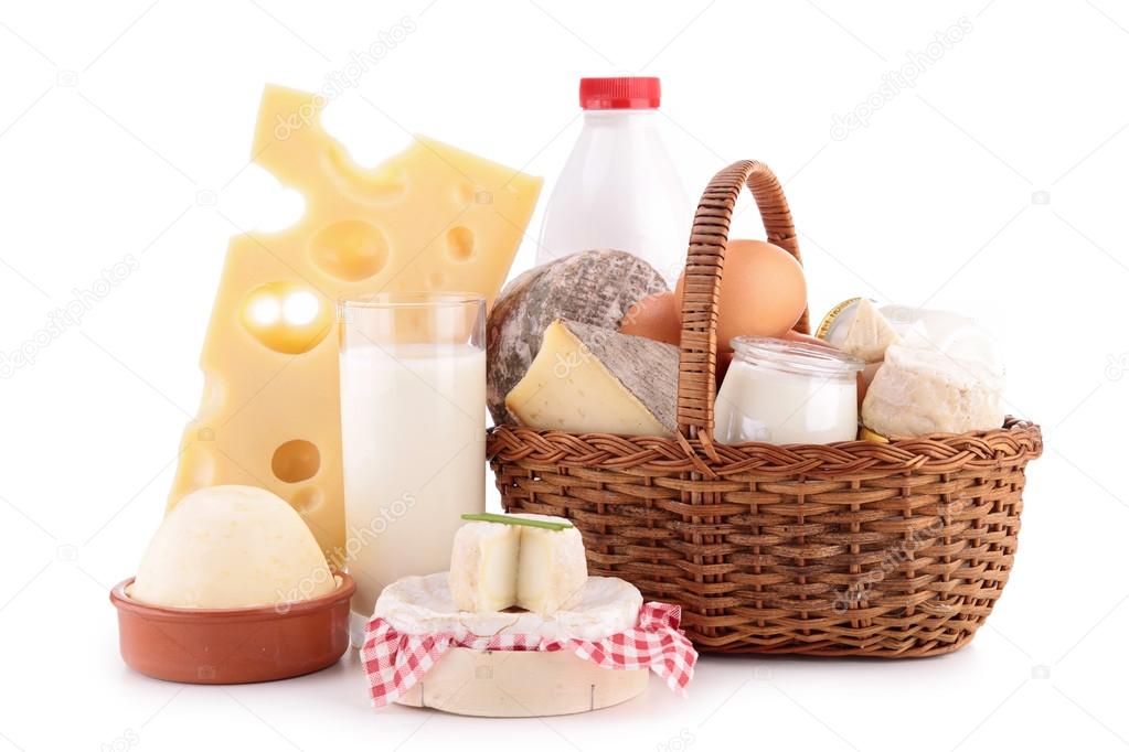 dairy products