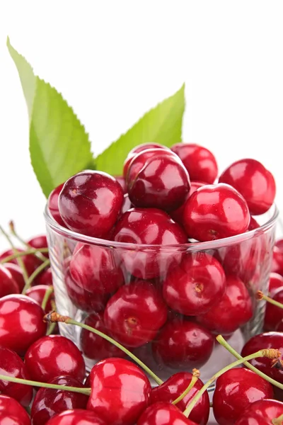 Cherry- berry fruit — Stock Photo, Image
