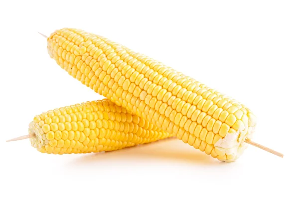 Corn isolated — Stock Photo, Image