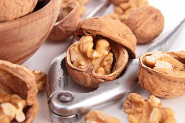 ceviz ve Fındıkkıran