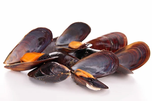 Isolated heap of mussel — Stock Photo, Image