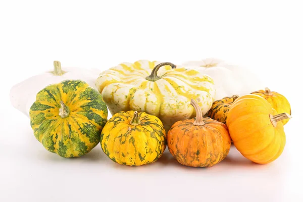 Assortment of pumpkins — Stock Photo, Image