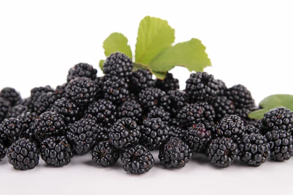 Verse blackberry — Stockfoto