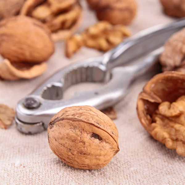 Walnut and nutcracker — Stock Photo, Image