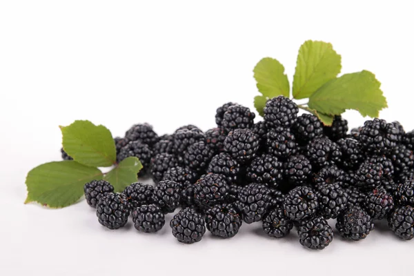 Fresh Blackberry — стоковое фото