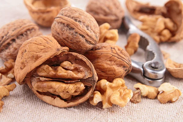 Walnut and nutcracker — Stock Photo, Image