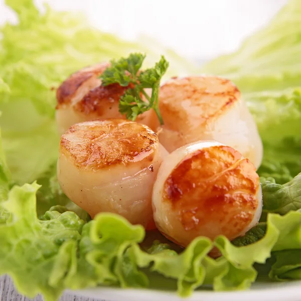 Scallop and salad — Stock Photo, Image