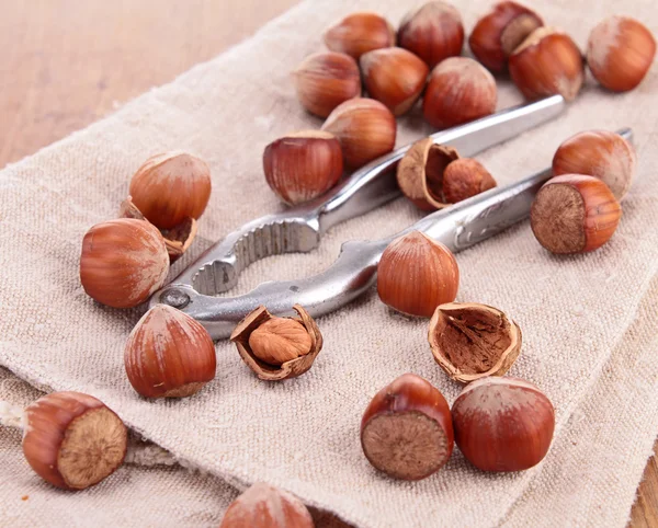 Hazelnuts and nutcracker — Stock Photo, Image