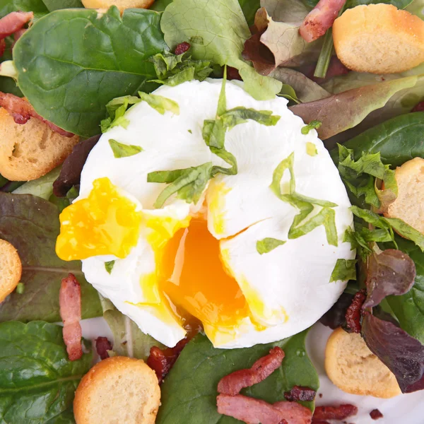 Салат з яйцем, кротоном та беконом — стокове фото