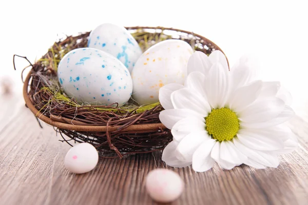 Easter telur — Stok Foto