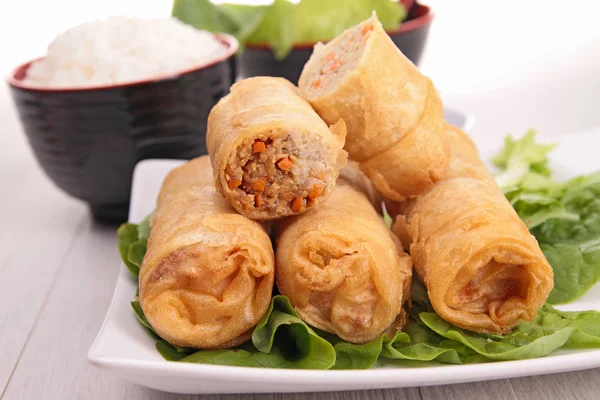 Spring roll — Stock Photo, Image