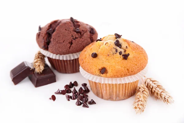 Chocolade muffin — Stockfoto