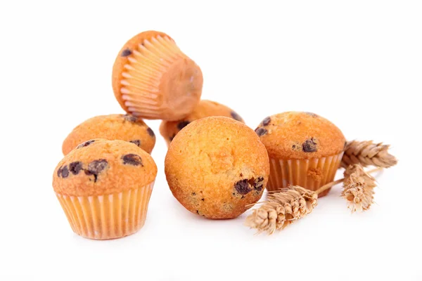 Muffin geïsoleerd — Stockfoto