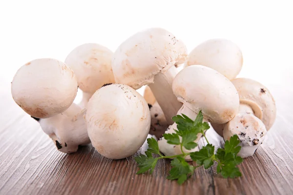 原料蘑菇 — 图库照片