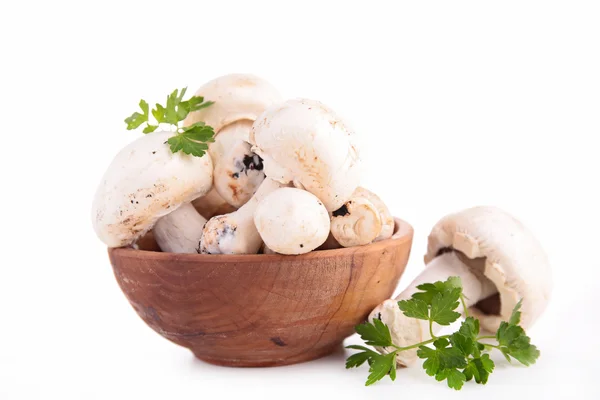 Miska grzybów — Zdjęcie stockowe