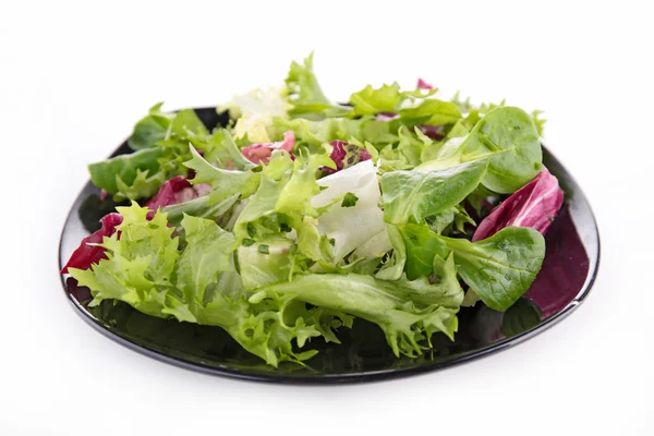 Plaat van salade — Stockfoto