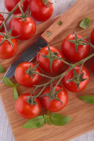 Surowych pomidorów — Zdjęcie stockowe