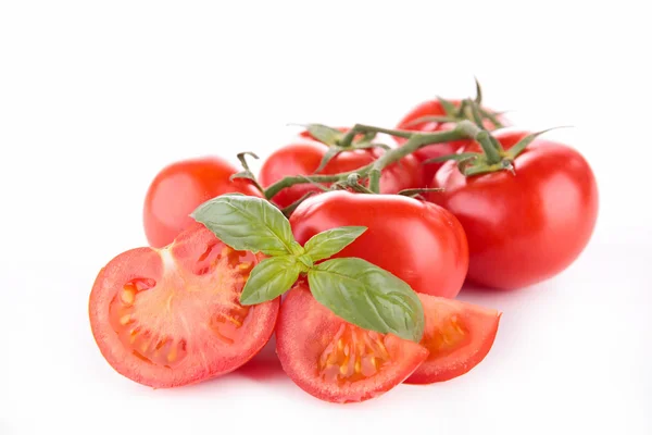 Tomaten und Basilikum — Stockfoto