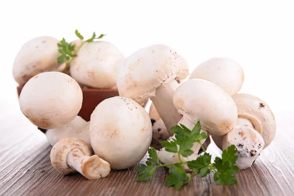 Fresh mushroom — Stock Photo, Image