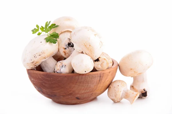 Fresh mushrooms — Stock Photo, Image