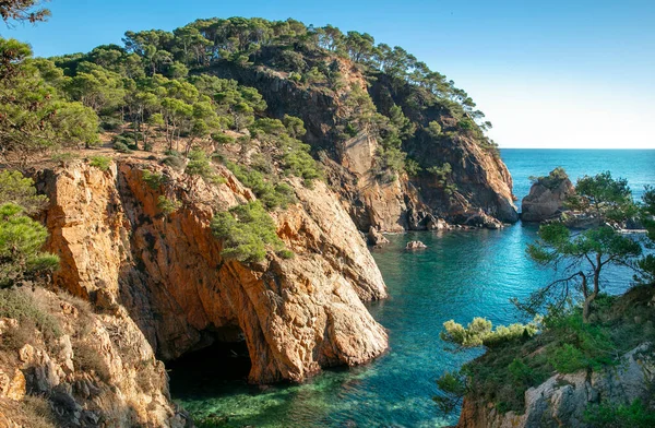 Costa Rocciosa Del Mar Mediterraneo — Foto Stock