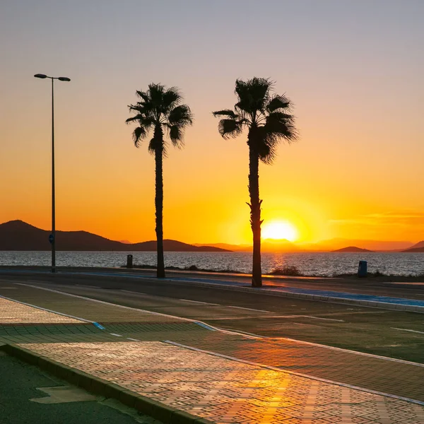 Palme Straße Und Meer Bei Sonnenuntergang — Stockfoto