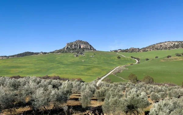スペインのアンダルシア地方 緑の風景と山 — ストック写真