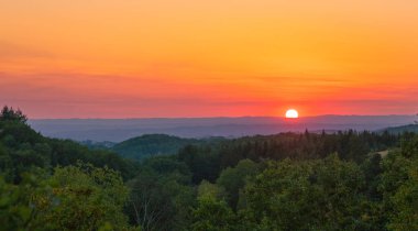 sunset over vast blossoming forest landscape