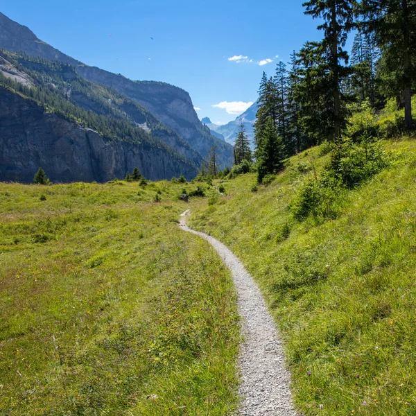 Suisse Paysage Chemin Parcourir Sentier Randonnée — Photo