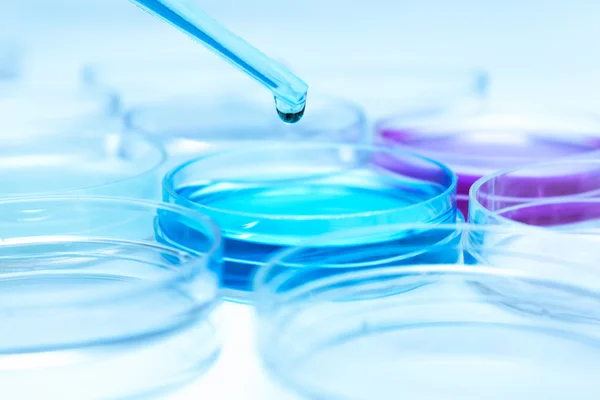 Pipette with drop of color liquid and petri dishes — Stock Photo, Image