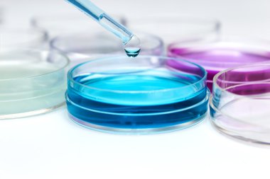 renkli sıvı ve petri yemekler damla ile pipet
