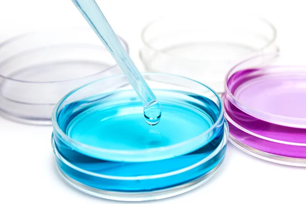 Pipette avec goutte de liquide de couleur et boîtes de Pétri — Photo