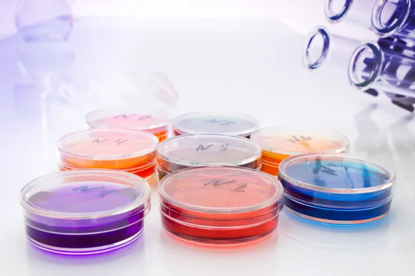 Color liquid in old plastic petri dishes — Stock Photo, Image