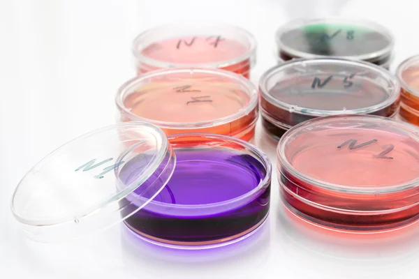 Líquido de color en placas de Petri de plástico viejas — Foto de Stock