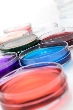 Color liquid in old plastic petri dishes clipart