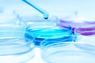 renkli sıvı ve petri yemekler damla ile pipet
