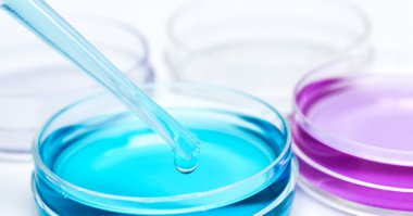 renkli sıvı ve petri yemekler damla ile pipet