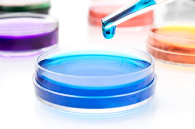 Pipette with drop of color liquid and petri dishes clipart