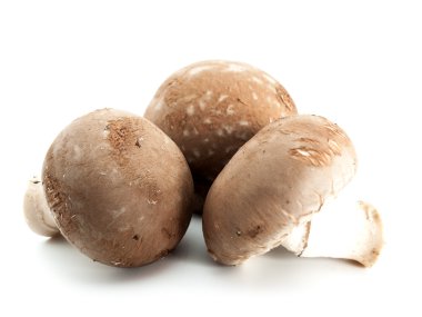 champignon mantarı