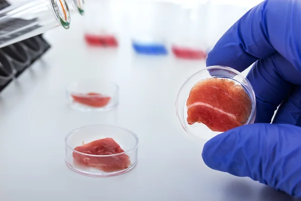 Meat cultured in laboratory conditions from stem cells — Stock Photo, Image