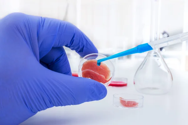 Carne cultivada en condiciones de laboratorio — Foto de Stock