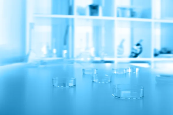 Petriskålar på bordet i laboratorium — Stockfoto