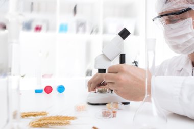 laboratuarda laboratuar asistanı